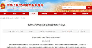 全國農業技術推廣服務中心發布2019年秋冬季小麥主產區重點病蟲害防控指南 提前預防，科技助力軟件開發